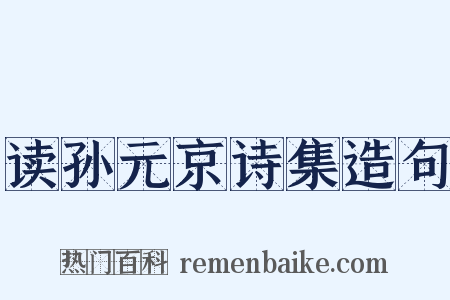 读孙元京诗集造句是什么意思的图片